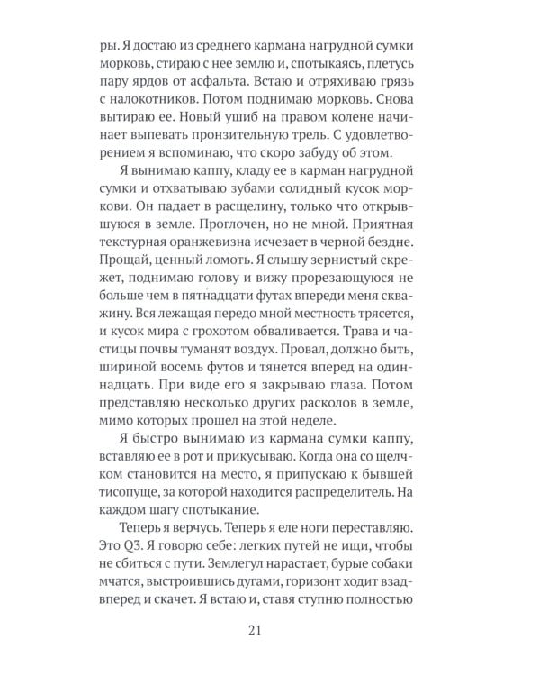 Бесконечное землетрясение: роман