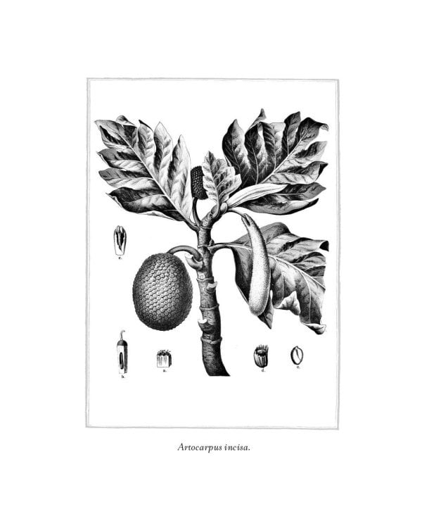 Происхождение всех вещей: роман