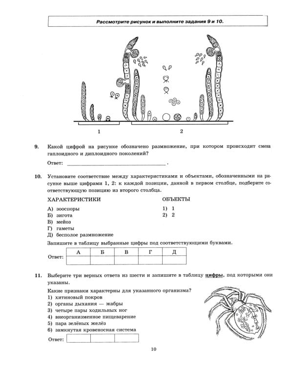 ЕГЭ 2024. Биология. 15 вариантов. Типовые варианты экзаменационных заданий от разработчиков ЕГЭ