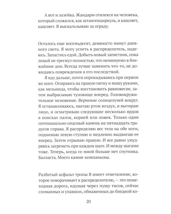 Бесконечное землетрясение: роман