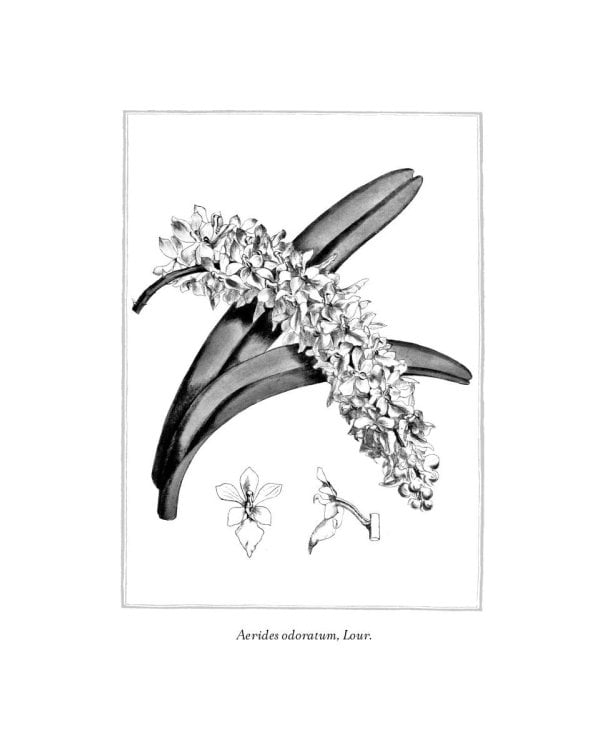 Происхождение всех вещей: роман