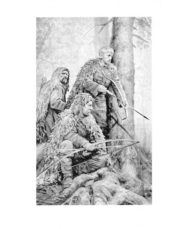 Пилигрим. Воевода