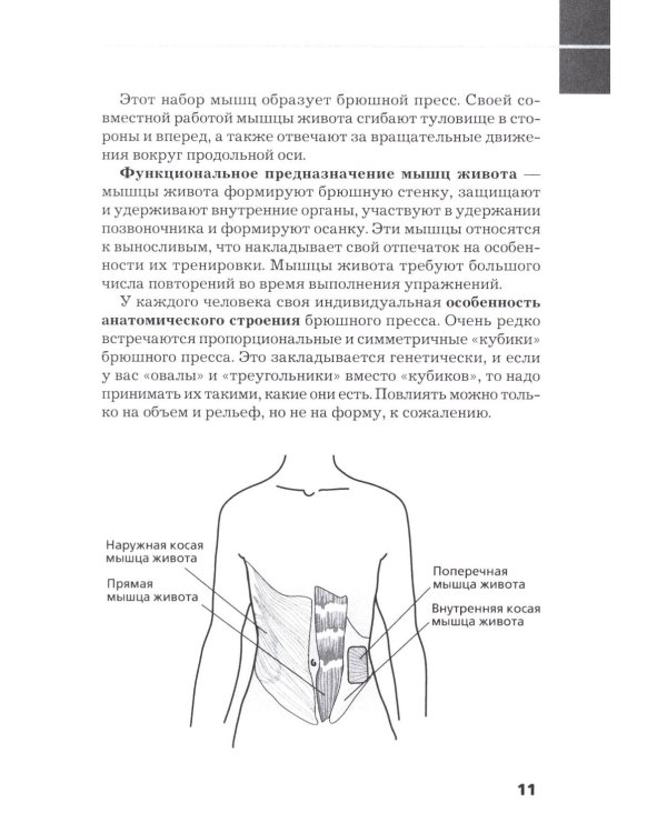 Плоский живот. Тонкая талия. 25 лучших упражнений