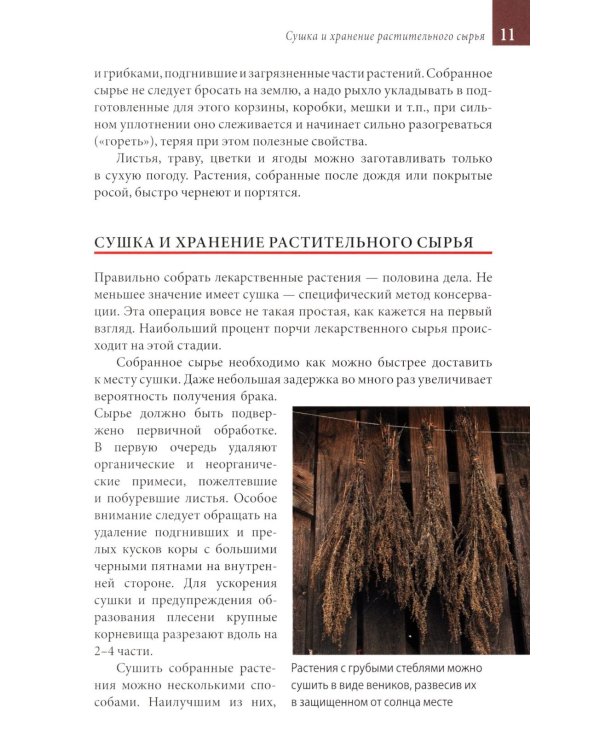 Лекарственные растения средней полосы России. Определитель. 2-е изд