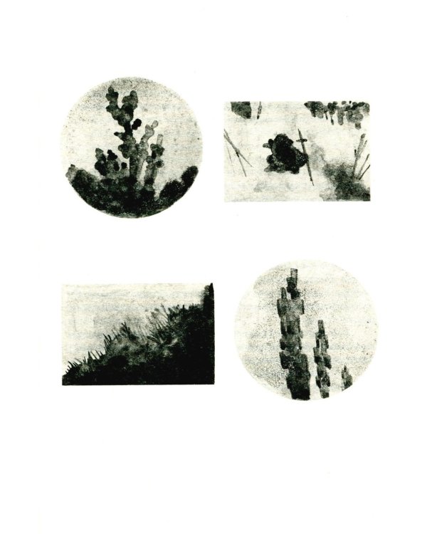 У медуз нет ушей: роман