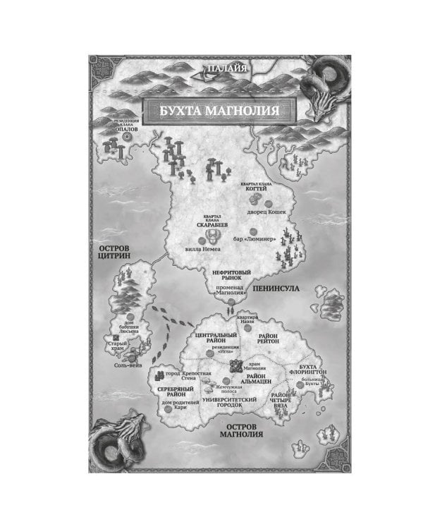 Бухта Магнолия. Кн. 2. Любовь, горькая и сладкая