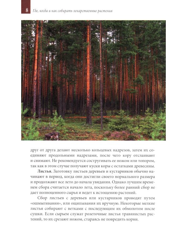 Лекарственные растения средней полосы России. Определитель. 2-е изд