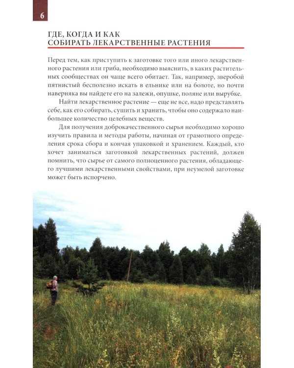 Лекарственные растения средней полосы России. Определитель. 2-е изд