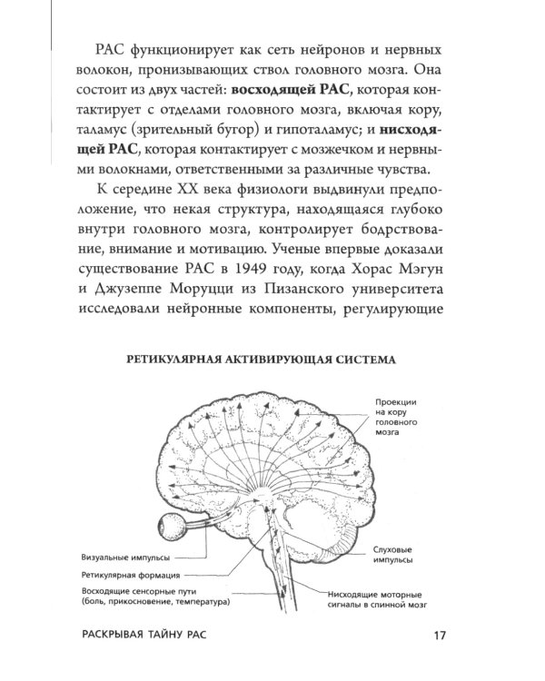 Сила подсознания; Ответ. Проверенная методика достижения недостижимого (комплект из 2-х книг)