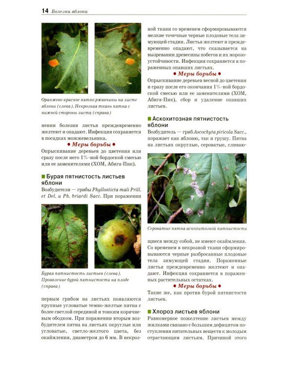 Болезни и вредители плодовых растений: Атлас-определитель. 3-е изд., испр.и доп