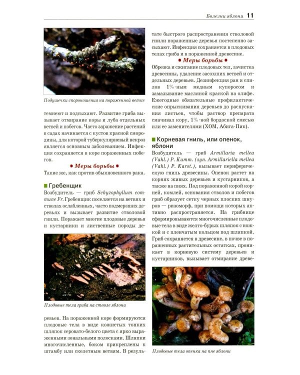 Болезни и вредители плодовых растений: Атлас-определитель. 3-е изд., испр.и доп