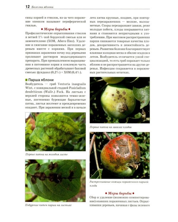 Болезни и вредители плодовых растений: Атлас-определитель. 3-е изд., испр.и доп