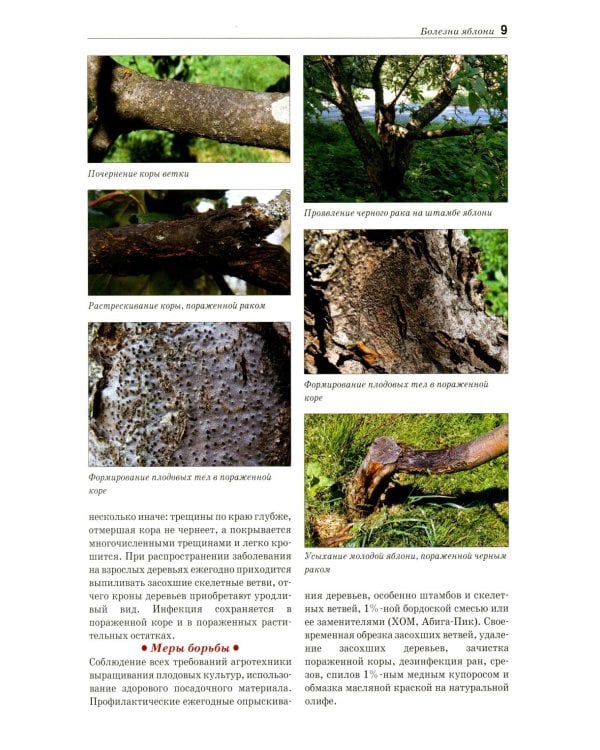 Болезни и вредители плодовых растений: Атлас-определитель. 3-е изд., испр.и доп