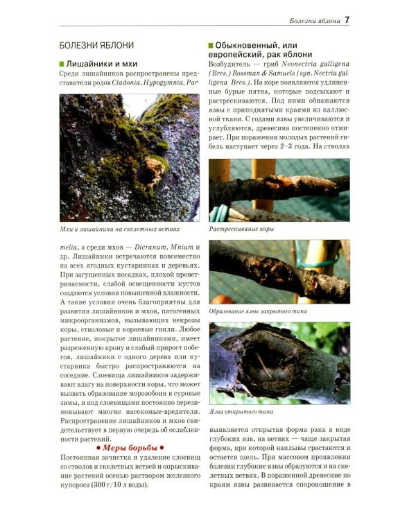 Болезни и вредители плодовых растений: Атлас-определитель. 3-е изд., испр.и доп