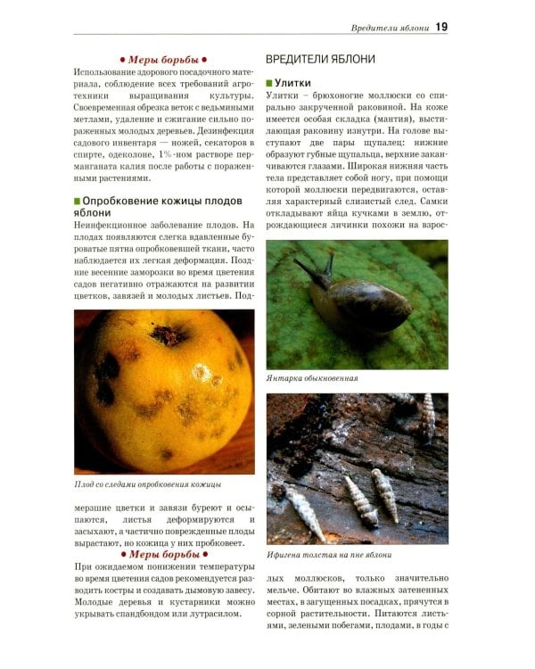 Болезни и вредители плодовых растений: Атлас-определитель. 3-е изд., испр.и доп