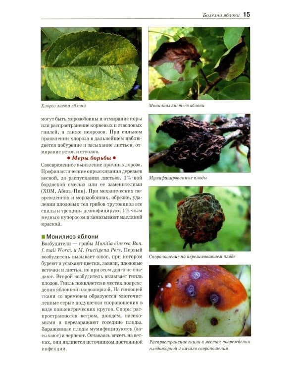 Болезни и вредители плодовых растений: Атлас-определитель. 3-е изд., испр.и доп