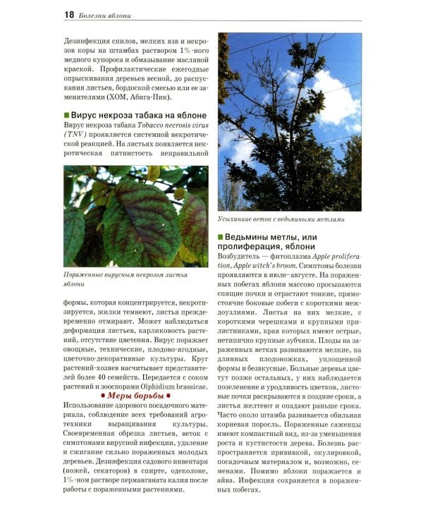 Болезни и вредители плодовых растений: Атлас-определитель. 3-е изд., испр.и доп