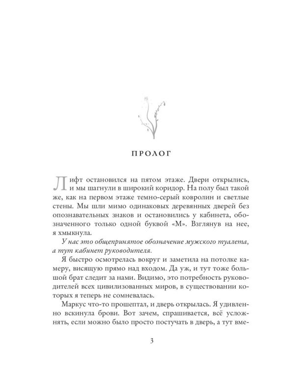 Аура Лаорка. Хозяйка Зеркала