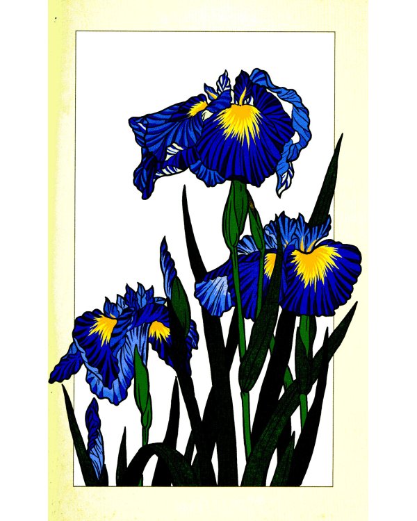 Secret  of Flowers. Floral Mysteries / Тайны цветов. Мифы, сказки, легенды (книга на англ. языке)