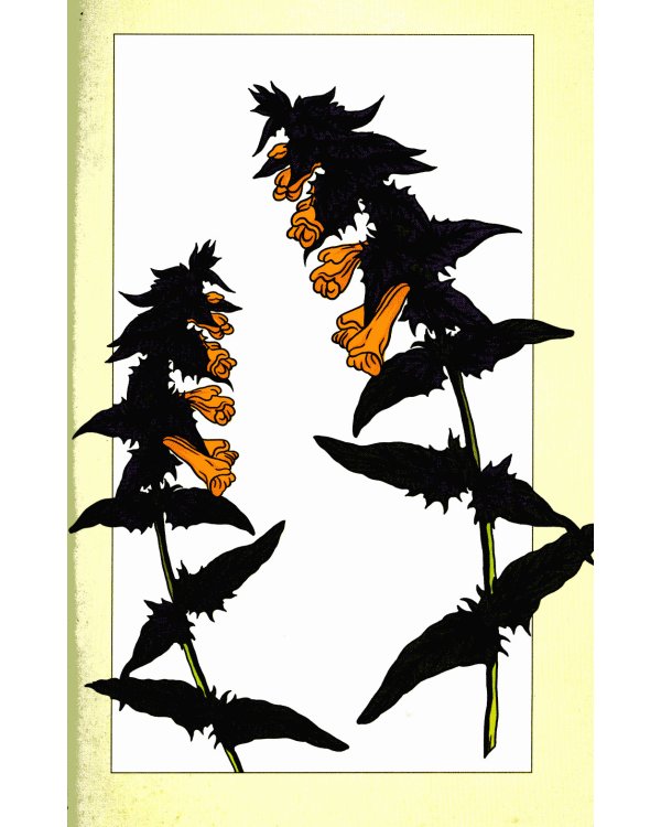 Secret  of Flowers. Floral Mysteries / Тайны цветов. Мифы, сказки, легенды (книга на англ. языке)