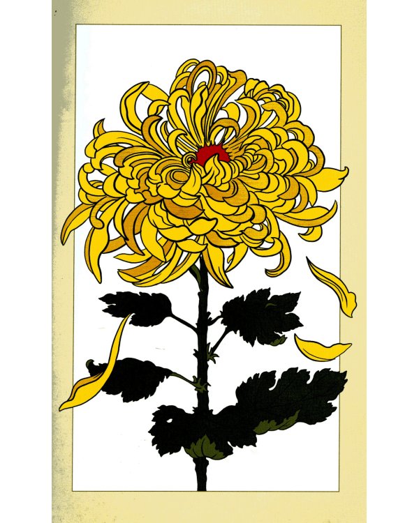 Secret  of Flowers. Floral Mysteries / Тайны цветов. Мифы, сказки, легенды (книга на англ. языке)