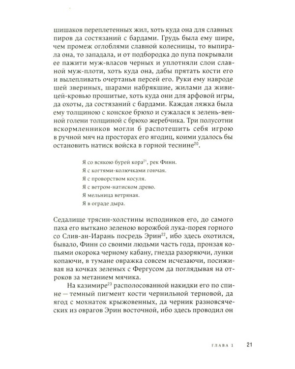 У Плыли-Две-Птицы: роман