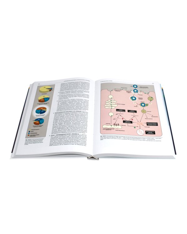 Биохимия. 8-е изд