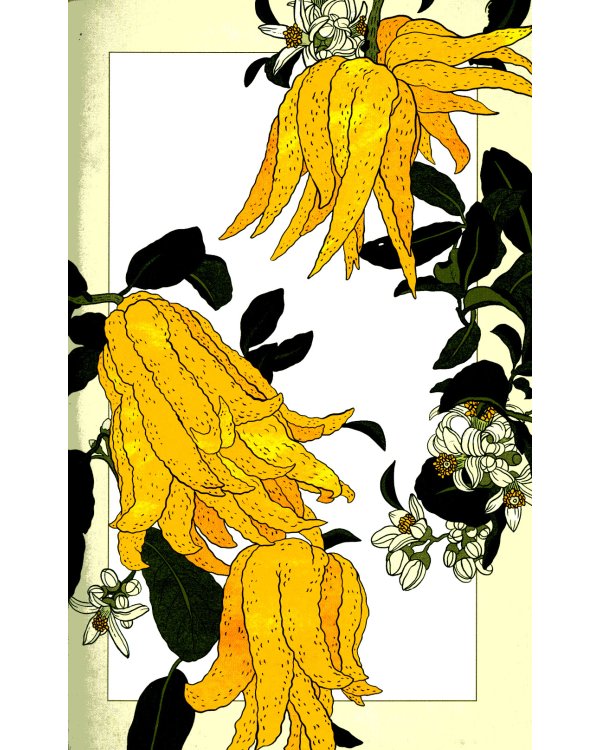 Secret  of Flowers. Floral Mysteries / Тайны цветов. Мифы, сказки, легенды (книга на англ. языке)