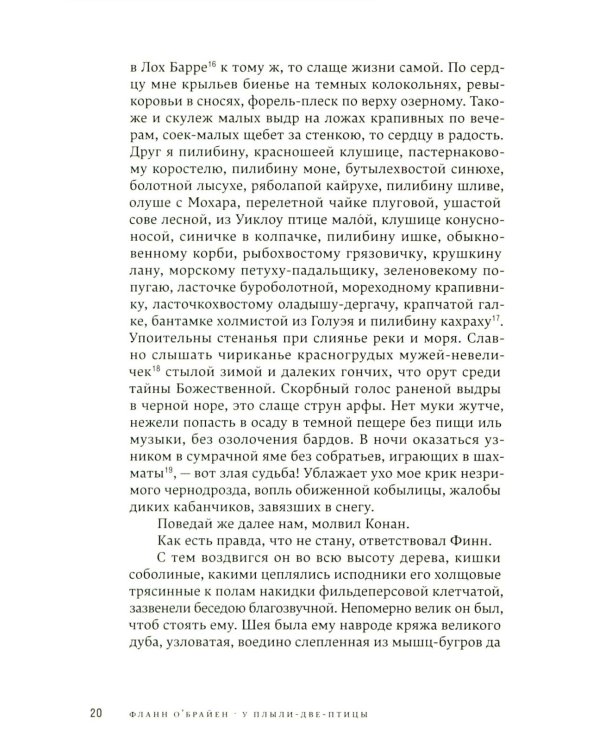 У Плыли-Две-Птицы: роман