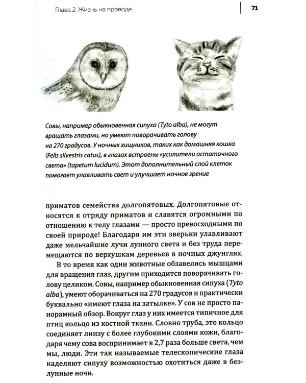 Купить В лесу никто не молчит. Как животные и растения общаются друг с другом