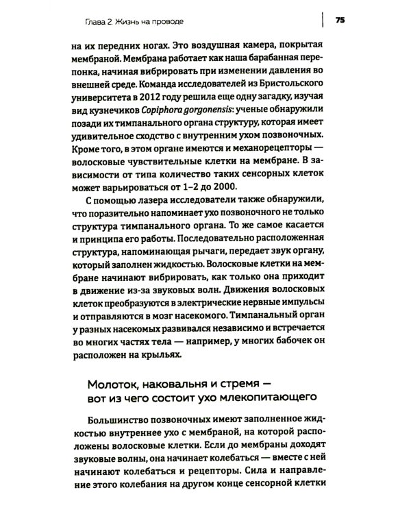 Купить В лесу никто не молчит. Как животные и растения общаются друг с другом