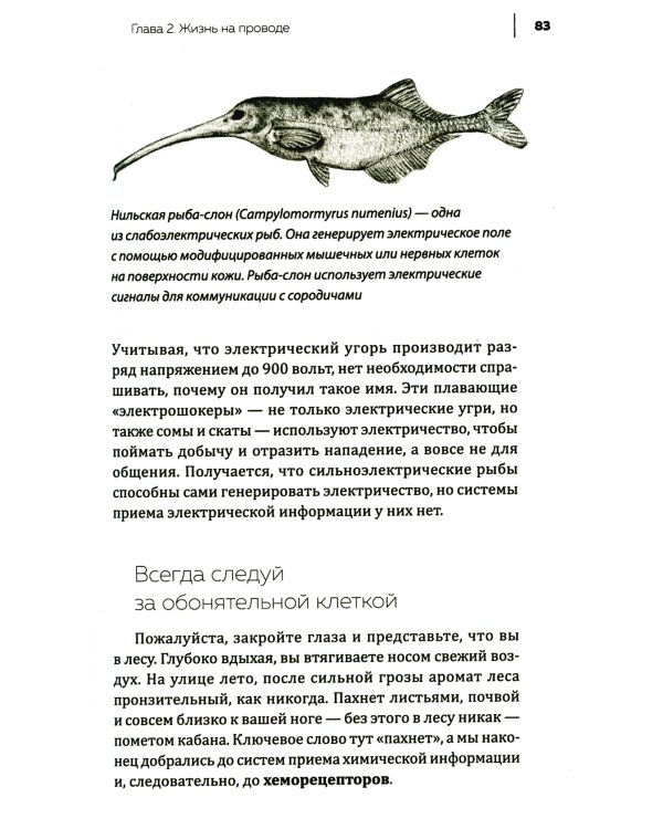 Купить В лесу никто не молчит. Как животные и растения общаются друг с другом