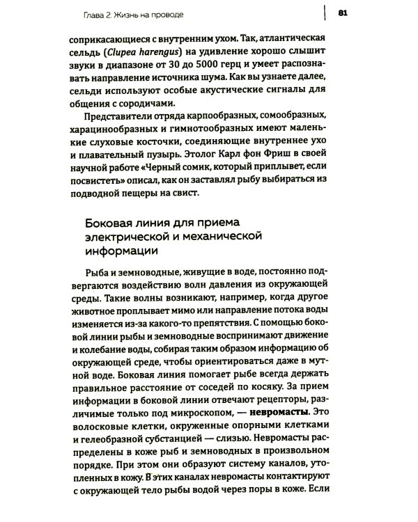 Купить В лесу никто не молчит. Как животные и растения общаются друг с другом