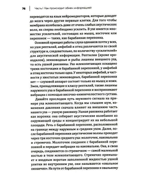Купить В лесу никто не молчит. Как животные и растения общаются друг с другом