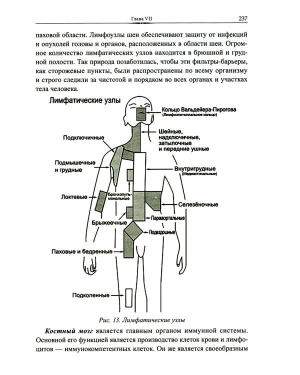 Эмоционально-образная терапия в работе с психосоматическими проблемами. Ч. 1