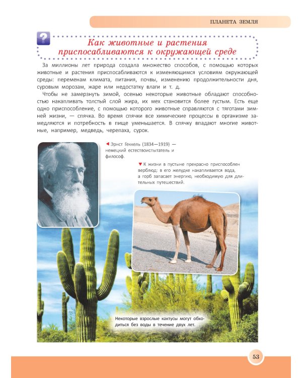 Новейшая энциклопедия школьника