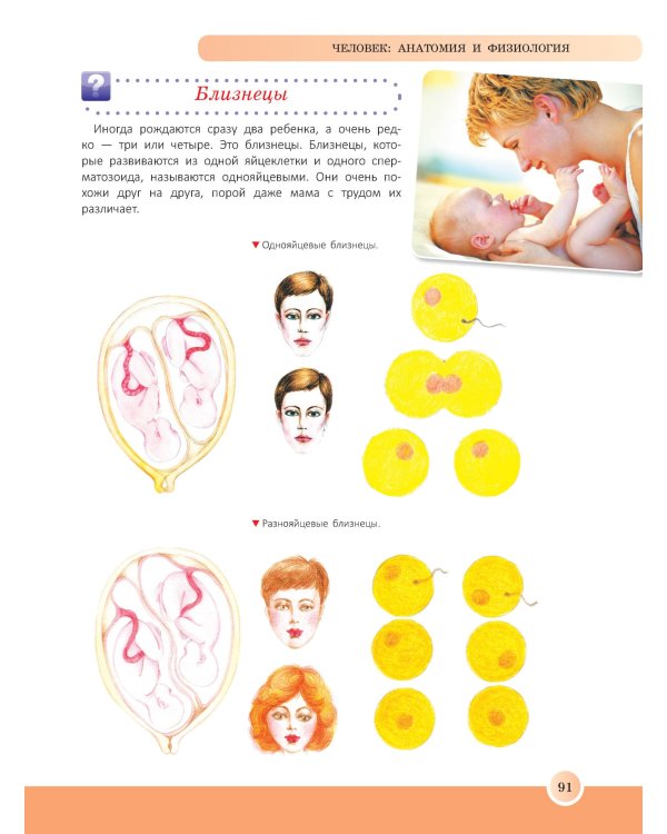 Новейшая энциклопедия школьника