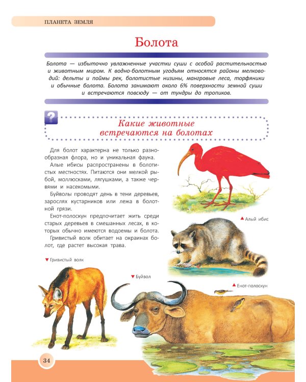 Новейшая энциклопедия школьника