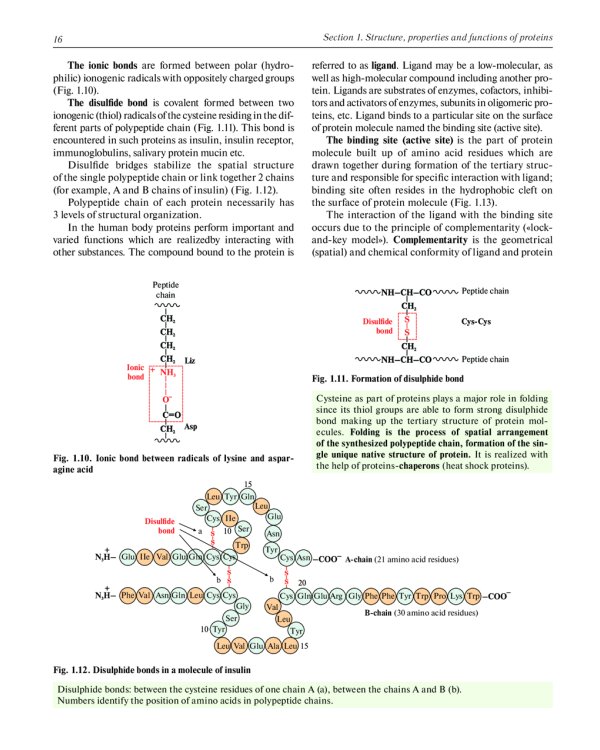 Biochemistry with exercises and tasks: textbook: на англ.яз