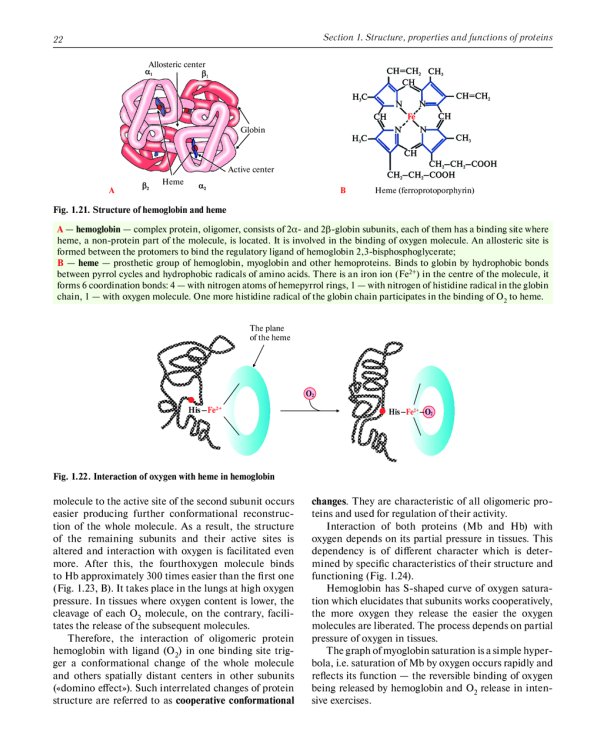 Biochemistry with exercises and tasks: textbook: на англ.яз