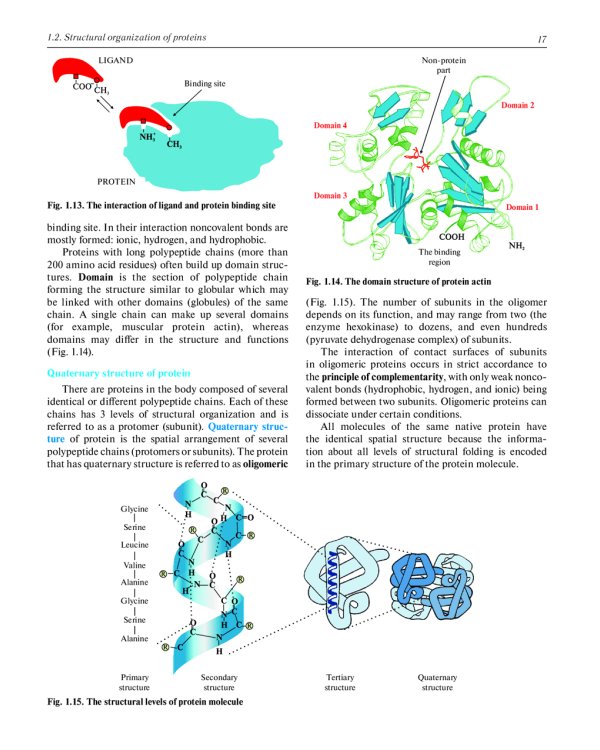 Biochemistry with exercises and tasks: textbook: на англ.яз