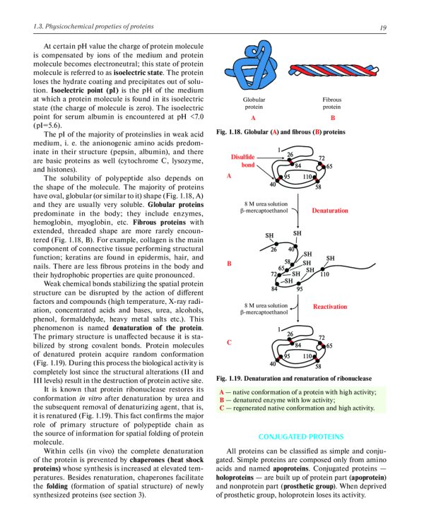 Biochemistry with exercises and tasks: textbook: на англ.яз