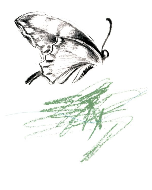 Эффект домино. Невидимые нити природы