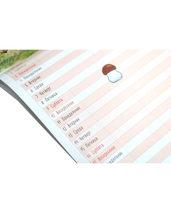 Календарь на 2025 год Семейный календарь Петсон и Финдус