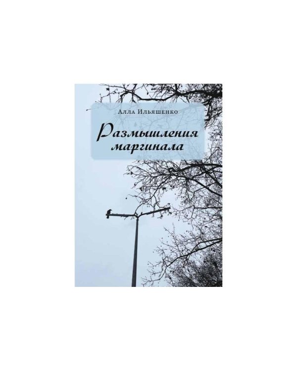 Размышления маргинала