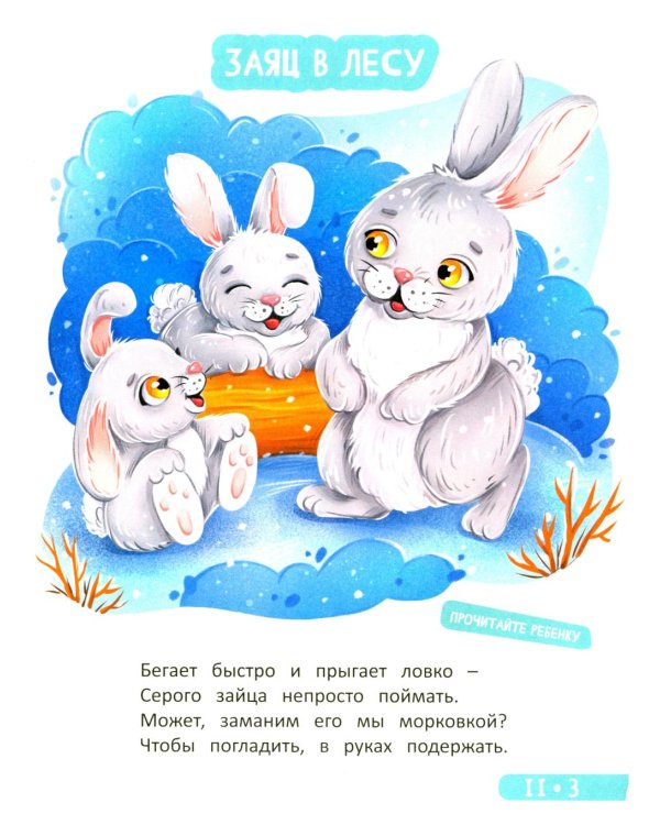 Развитие малыша. Животные  в лесу, зоопарке и джунглях. 1-2 года