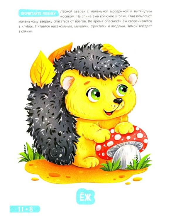 Развитие малыша. Животные  в лесу, зоопарке и джунглях. 1-2 года