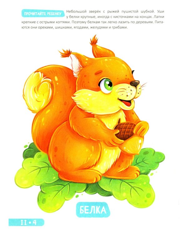 Развитие малыша. Животные  в лесу, зоопарке и джунглях. 1-2 года