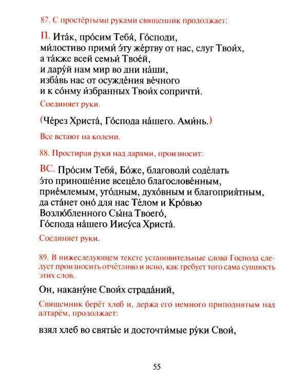 Чин Мессы = Ordo Missae