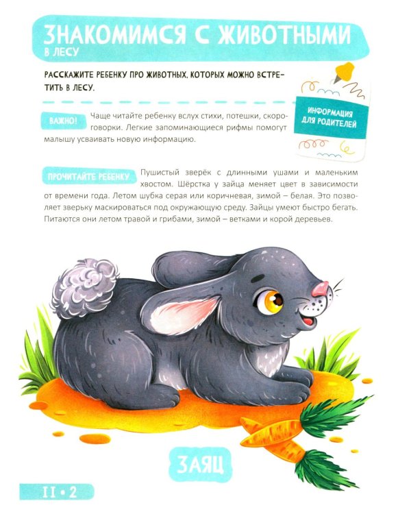 Развитие малыша. Животные  в лесу, зоопарке и джунглях. 1-2 года